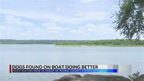 Fon Du Lac Police Chief says six dogs found on docked boat in Illinois River are 'fighters'